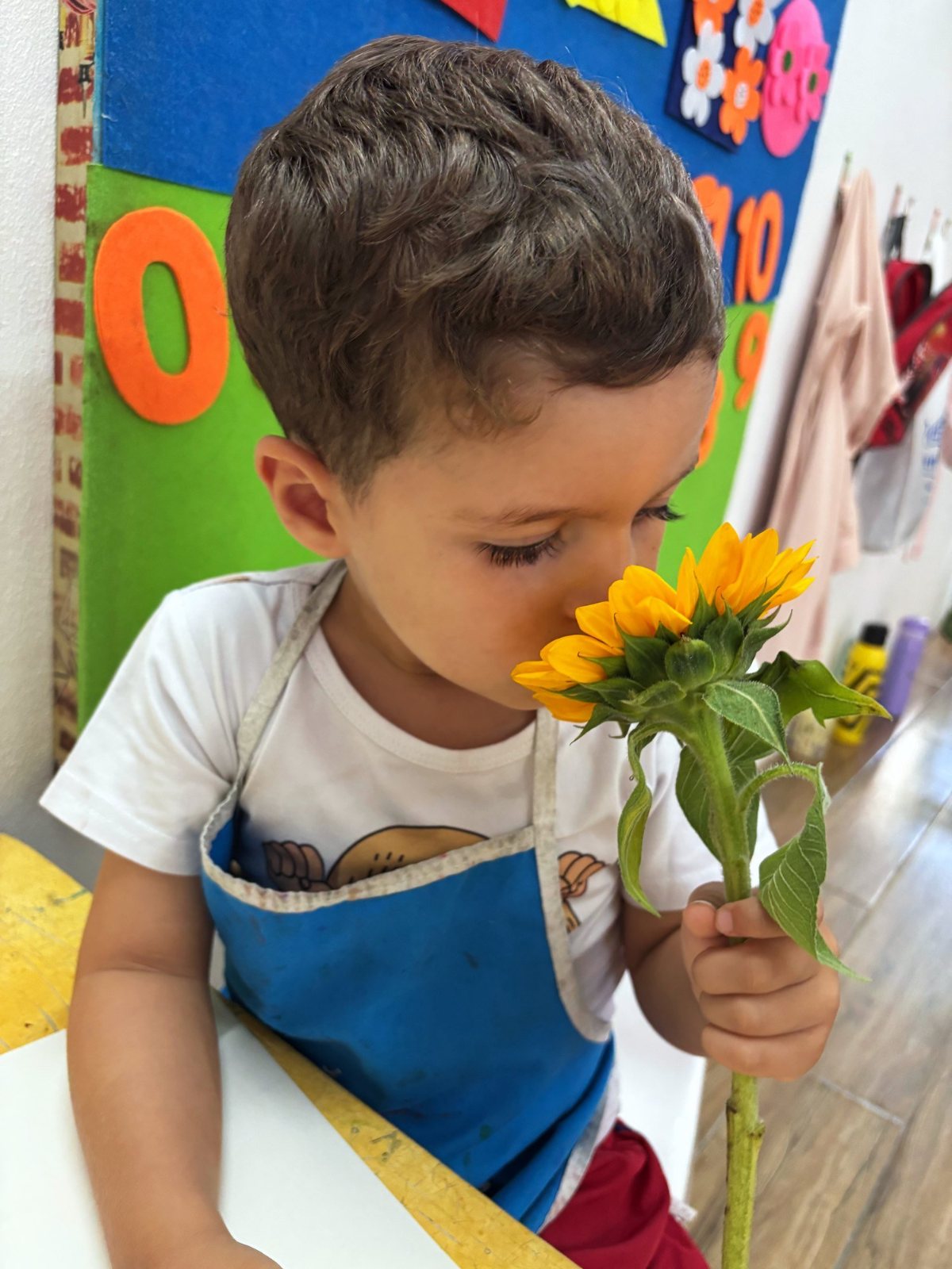A Nursery child smelling a real sunflower with his eyes closed