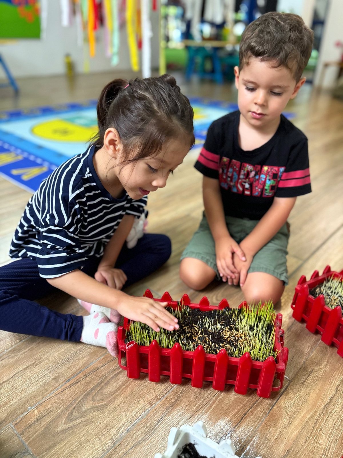 A Nursery child touching the grass that sprouted in the class planter